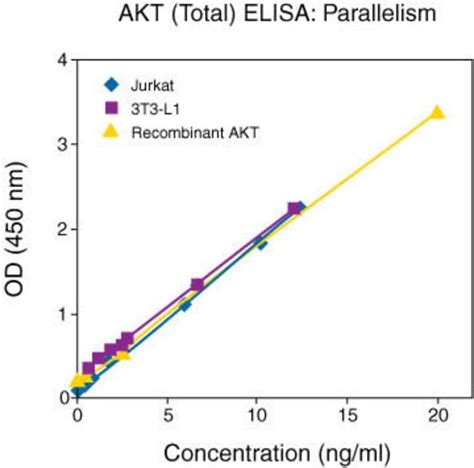 Human AKT (Total) ELISA Kit 